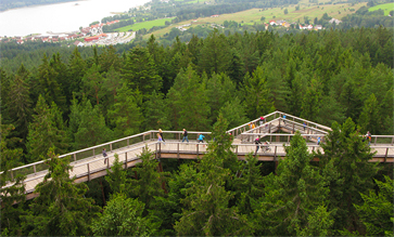 Ein Weg in Baumkronen