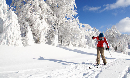 On Kovarov you will experience the real mountain winter